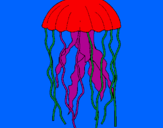 Disegno Medusa  pitturato su davide