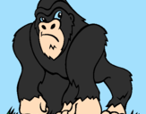 Disegno Gorilla pitturato su drillo