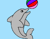 Disegno Delfino con una palla  pitturato su  anben