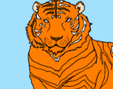 Disegno Tigre pitturato su cuore