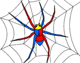 Disegno Ragno pitturato su spiderman