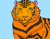 Disegno Tigre pitturato su silvia