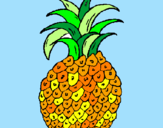 Disegno ananas  pitturato su ELISA