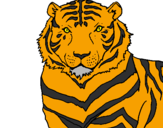 Disegno Tigre pitturato su speru