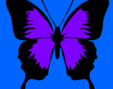Disegno Farfalla con le ali nere pitturato su giulia