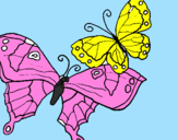 Disegno Farfalle pitturato su simona  scoz