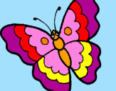 Disegno Farfalla  pitturato su elisa perini