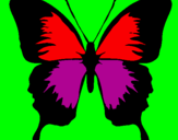 Disegno Farfalla con le ali nere pitturato su BENEDETTA