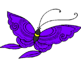 Disegno Farfalla  pitturato su federica grazioli