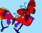 Disegno Farfalle pitturato su GIULIA