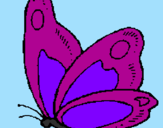 Disegno Farfalla  pitturato su MAR