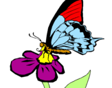 Disegno Farfalla su un fiore pitturato su iris