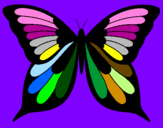 Disegno Farfalla pitturato su giulia