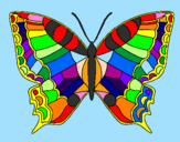 Disegno Farfalla  pitturato su andrea  perini