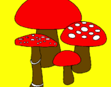 Disegno Funghi pitturato su Rosy