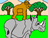 Disegno Rinoceronte e scimmietta  pitturato su Alex