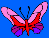 Disegno Farfalla  pitturato su giorgia battaglia
