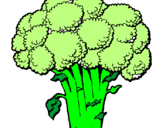 Disegno Broccoli  pitturato su cavolo