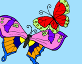 Disegno Farfalle pitturato su giovanna