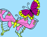 Disegno Farfalle pitturato su alessandra