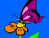 Disegno Farfalla su un fiore pitturato su farfiore