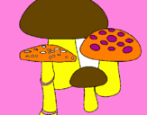 Disegno Funghi pitturato su MISIA