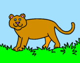 Disegno Panthera  pitturato su EMANUELA