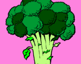 Disegno Broccoli  pitturato su AMI  JOVANI