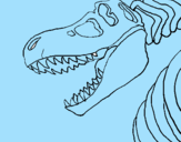 Disegno Scheletro di Tyrannosaurus rex pitturato su antonio