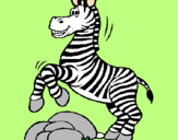 Disegno Zebra che salta sulle pietre  pitturato su Sara