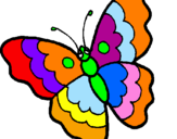 Disegno Farfalla  pitturato su LAVINIA