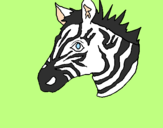 Disegno Zebra II pitturato su trudi