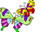 Disegno Farfalle pitturato su elena basile
