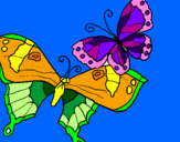 Disegno Farfalle pitturato su nessy