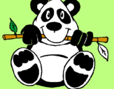 Disegno Orso panda  pitturato su orsetto lavatore