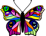 Disegno Farfalla pitturato su lucia