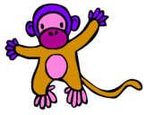 Disegno Scimmietta pitturato su SOL   