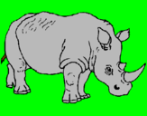 Disegno Rinoceronte  pitturato su SIMONE