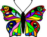 Disegno Farfalla pitturato su tommaso