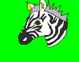 Disegno Zebra II pitturato su coccorella