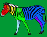 Disegno Zebra  pitturato su TOMMASO
