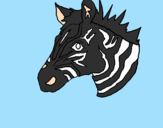 Disegno Zebra II pitturato su filippo agnoletti