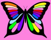 Disegno Farfalla pitturato su camilla