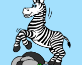 Disegno Zebra che salta sulle pietre  pitturato su Andrea B.