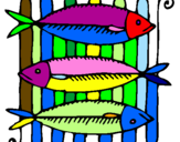 Disegno Pesce pitturato su davide