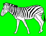 Disegno Zebra  pitturato su SIMONE