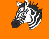 Disegno Zebra II pitturato su Serena