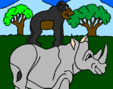 Disegno Rinoceronte e scimmietta  pitturato su SUPERGIOVI E JEKY