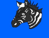Disegno Zebra II pitturato su samira