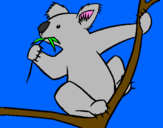 Disegno Koala  pitturato su 2134567